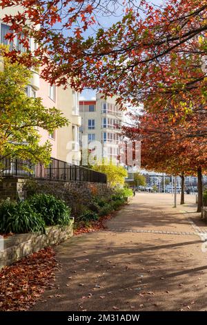 Malerischer Fußgängerweg im Herbst, Hannover Quay, schwimmender Hafen von Bristol, Stadt Bristol, Großbritannien Stockfoto