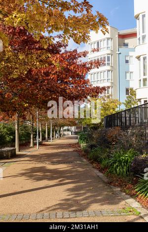 Malerischer Fußgängerweg, Hannover Quay, der schwimmende Hafen von Bristol, City of Bristol, Großbritannien Stockfoto