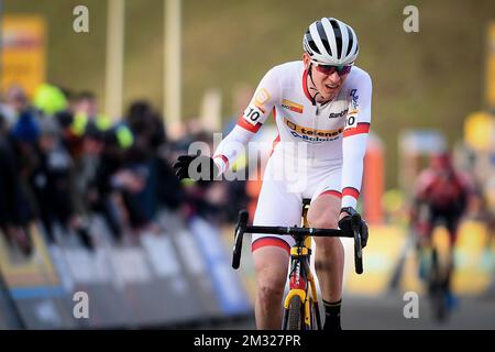 Der belgische Toon Aerts überquert die Ziellinie beim männlichen Eliterennen der Cyclocross-Weltmeisterschaft in Hoogerheide, Niederlande, der 9.. Und letzten Etappe der UCI-Weltmeisterschaft, Sonntag, den 26. Januar 2020. BELGA FOTO DAVID STOCKMAN Stockfoto