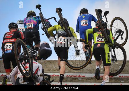 Illustration Foto aufgenommen während des Herrenrenrenrenrenrenrenrenrenrennen bei der Cyclocross-Weltmeisterschaft in Hoogerheide, Niederlande, der 9.. Und letzten Etappe der UCI-Weltmeisterschaft, Sonntag, den 26. Januar 2020. BELGA FOTO DAVID STOCKMAN Stockfoto