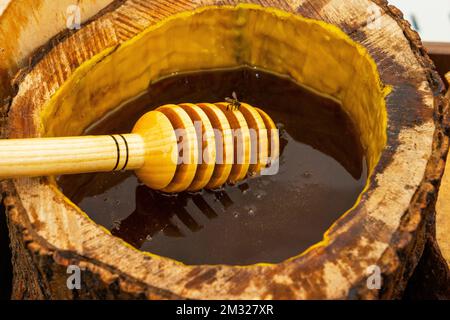 Honiglöffel in einem Fass mit wohlriechendem, frischem Honig begraben. Nahaufnahme, gesundes Esskonzept. Stockfoto