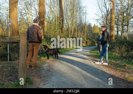 Das Abbildungsbild zeigt Menschen, die die Nachmittagssonne genießen und die Regeln der sozialen Distanz respektieren, im Parkbos in Gent, Sonntag, den 22. März 2020. Ab März 18. werden neue Maßnahmen ergriffen, um die Ausbreitung der COVID-19-Pandemie zu verhindern. In Belgien sind bisher 3401 Menschen infiziert. BELGA FOTO JAMES ARTHUR GEKIERE Stockfoto