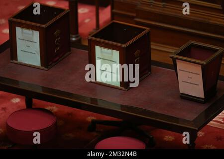 Illustration Bild, das während einer Plenarsitzung des Senats im bundesparlament in Brüssel am Freitag, den 15. Mai 2020 aufgenommen wurde, mit einer Abstimmung über einen neuen französischsprachigen Richter des Verfassungsgerichts. Greens Ecolo schlug Khattabi für die Rolle vor, aber mehrere Parteien ernennen sie. BELGA FOTO NICOLAS MAETERLINCK Stockfoto