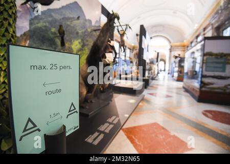 Das Abbildungsbild zeigt Bilder, um die sozialen Distanzmaßnahmen zu respektieren, bei einem Besuch des Königlichen Museums für Zentralafrika in Tervuren, Freitag, den 15. Mai 2020, das sich auf seine Wiedereröffnung nächste Woche vorbereitet. Belgien befindet sich in der neunten Woche der Eindämmung in der anhaltenden Coronaviruskrise, verschiedene Bereiche des öffentlichen Lebens öffnen sich allmählich wieder. BELGA FOTO LAURIE DIEFFEMBACQ Stockfoto