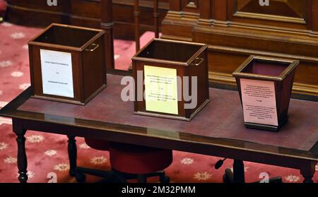 Illustration Bild, das während einer Plenarsitzung des Senats im bundesparlament in Brüssel am Freitag, den 12. Juni 2020 aufgenommen wurde, mit einer Abstimmung über einen neuen französischsprachigen Richter des Verfassungsgerichts. BELGA FOTO ERIC LALMAND Stockfoto