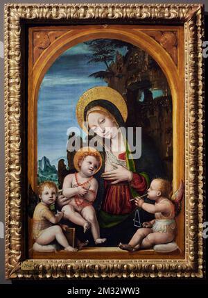 Madonna col Bambino e Due angeli - olio su tavola - Bernardo Zenale - 1502 - Mailand, Italien, Pinacoteca di Brera Stockfoto