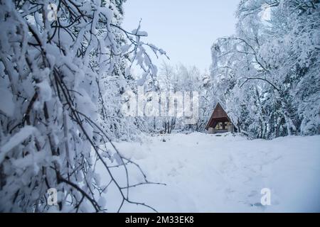 Gedenkstätte am Mandelstein im Winter, Waldviertel, Österreich Stockfoto