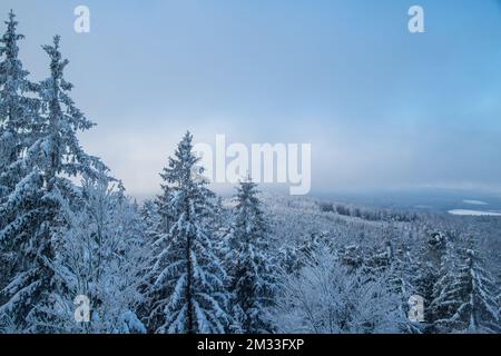 Blick auf die Tschechische Republik vom Mandelstein im Winter, Waldviertel, Österreich Stockfoto