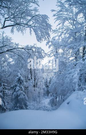 Mandelstein im Winter, Waldviertel, Österreich Stockfoto