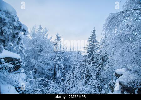 Mandelstein im Winter, Waldviertel, Österreich Stockfoto