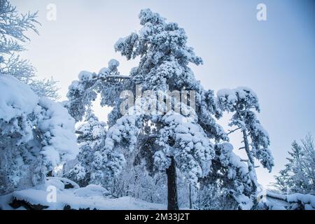 Mandelstein im Winter, Waldviertel, Österreich Stockfoto
