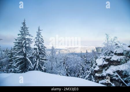 Mandelstein im Winter, Waldviertel, Österreich Stockfoto