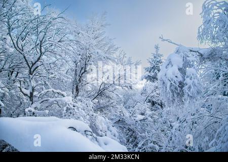 Mandelstein im Winter, Waldviertel, Österreich Stockfoto