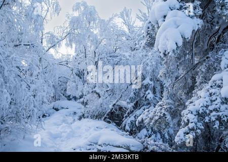 Mandelstein im Winter, Waldviertel, Österreich Stockfoto