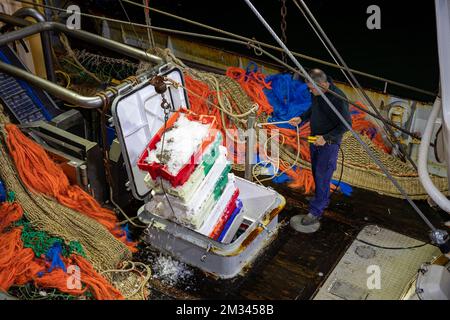 Das Bild zeigt die offene Aufschrei-Fischauktion (Vismijn - Visafslag - Minque) in Zeebrugge, Freitag, den 18. Dezember 2020. Mit dem bevorstehenden Brexit befürchtet der Fischereisektor ein No-Deal, das ernste Folgen hätte. BELGA FOTO KURT DESPLENTER Stockfoto