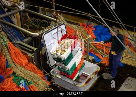 Abbildung zeigt ein Fischerboot, das am Freitag, den 18. Dezember 2020, in Zeebrugge auf der offenen Fischauktion (Vismijn - Visafslag - Minque) ankommt. Mit dem bevorstehenden Brexit befürchtet der Fischereisektor ein No-Deal, das ernste Folgen hätte. BELGA FOTO KURT DESPLENTER Stockfoto