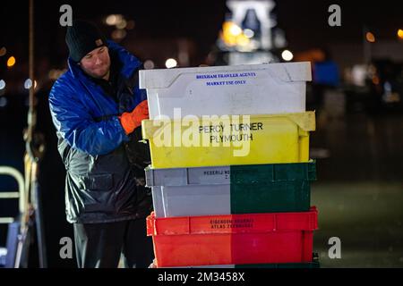 Das Bild zeigt Fischkisten mit „Percy Turner - Plymouth“, die am Freitag, den 18. Dezember 2020 in Zeebrugge auf der offenen Fischauktion (Vismijn - Visafslag - Minque) ankommen. Mit dem bevorstehenden Brexit befürchtet der Fischereisektor ein No-Deal, das ernste Folgen hätte. BELGA FOTO KURT DESPLENTER Stockfoto