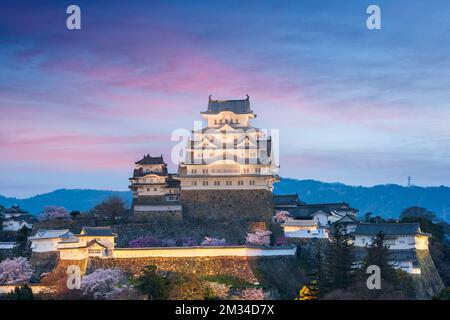 Himeji, Japan in Himeji Castle während Kirschblüte Frühjahrssaison. Stockfoto