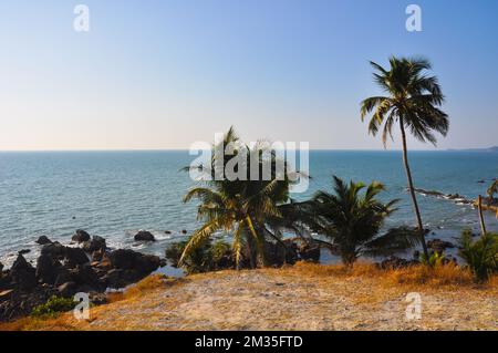 Wilder Strand mit Palmen und Steinen an der Küste in Arambol, Goa, Indien Stockfoto