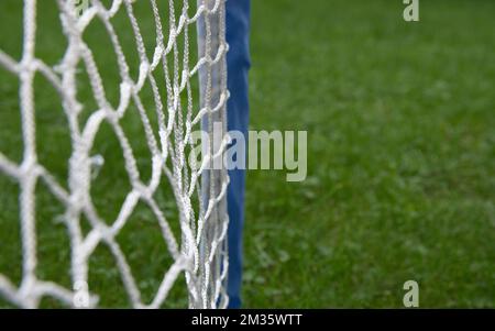 Kleine Tore zum Fußballspielen für Kinder. Blauer Rahmen. Auf Gras-Hintergrund. Speicherplatz kopieren Stockfoto