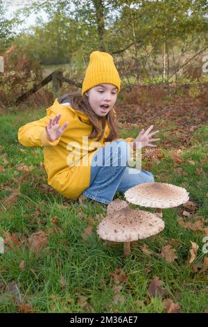 Riesige Pilze finden. Parasol Mushroom-Macrolepiota Prokera. Ein Teenager ist überrascht, einen großen Pilz auf einem Spaziergang im Wald zu finden Stockfoto