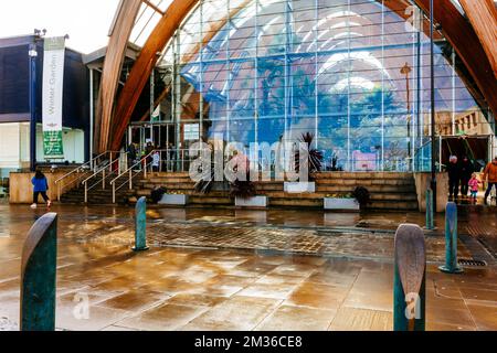 Fassade. Sheffield Winter Garden ist eines der größten Gewächshäuser mit gemäßigten Temperaturen, die in den letzten hundert Jahren in Großbritannien gebaut wurden, und das größte städtische Gebäude Stockfoto