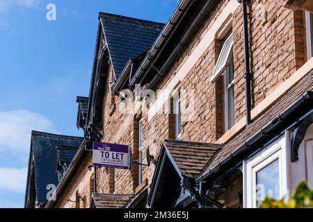 Immobilienmakler in Sheffield, in der Nähe der Universität. Sheffield, South Yorkshire, Yorkshire und der Humber, England, vereint euch Stockfoto