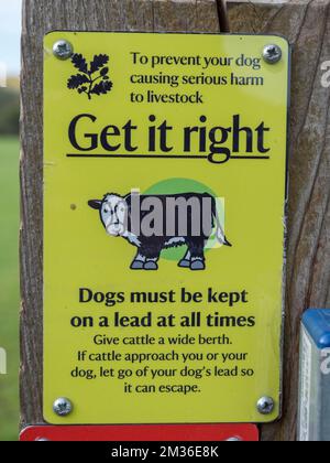 "Get IT Right" -Schild auf einem Zaun, der Hundebesitzer anweist, Hunde immer an der Spitze zu halten, weil Kühe auf dem benachbarten Feld sein werden, Runnymede, Stockfoto