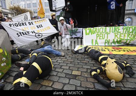 Die Abbildung zeigt eine groß angelegte Mobilisierung „Change the Cap! Stimmen Sie für diese GAP ab!" Mehrere belgische und europäische Verbände aus der Landwirtschaft und anderen Sektoren, die sich vor dem Europäischen Parlament am Freitag, den 19. November 2021, auf die wirklichen Herausforderungen der nächsten GAP, der Gemeinsamen Agrarpolitik, konzentrieren. BELGA FOTO ERIC LALMAND Stockfoto