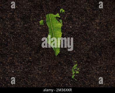 A Bahrain map made of green leaves on White background ecology concept Stock Photo