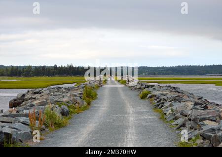 Der Salt Marsh Trail, ein „Rail-to-Trails“-Projekt in Cole Harbour, Nova Scotia, Kanada. Der beliebte Radweg ist Teil des Trans Canada Trails. Stockfoto