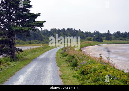 Der Salt Marsh Trail, ein „Rail-to-Trails“-Projekt in Cole Harbour, Nova Scotia, Kanada. Der beliebte Radweg ist Teil des Trans Canada Trails. Stockfoto