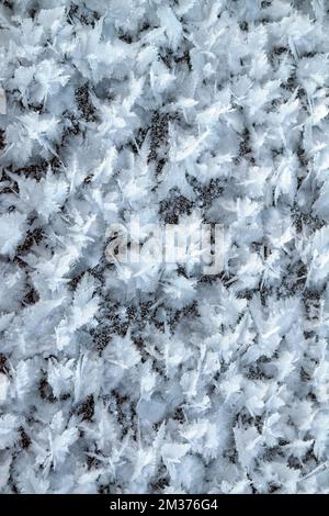Große flauschige Schneeflocken nähern sich der Eisoberfläche. Winter- und Weihnachtshintergrund. Stockfoto