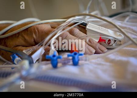 Abbildung zeigt die Intensivstation im Krankenhaus Imelda in Bonheiden, Mittwoch, 08. Dezember 2021. Der beratende Ausschuss mit Ministern der Bundesregierung, der Regionalregierungen und der Regierungen der Gemeinschaft kündigte am 3.. Dezember neue Maßnahmen an, um der Corona-Virus-Welle von 4. entgegenzuwirken. BELGA FOTO DIRK WAEM Stockfoto