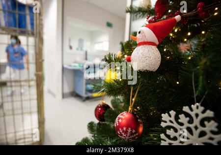 Abbildung zeigt Weihnachtsdekoration auf der Intensivstation der Clinique CHC MontLegia in Lüttich, Dienstag, 14. Dezember 2021. Belgien ist von einer vierten Welle der anhaltenden Coronavirus-Pandemie betroffen. BELGA FOTO BENOIT DOPPPAGNE Stockfoto