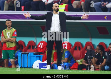 Al Chaur, Qatar. 14th Dec, 2022. Soccer, 2022 World Cup in Qatar, France - Morocco, semi-final, Morocco's coach Walid Regragui gestures. Credit: Tom Weller/dpa/Alamy Live News Stock Photo