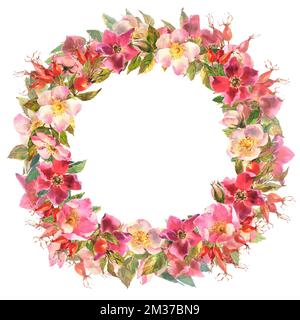 Aquarell rosa Hüftkranz. Blumen, Blätter und Früchte wilder Rosen. Briar, Aquarellmalerei zur Dekoration. Aquarelldarstellung isoliert auf w Stockfoto