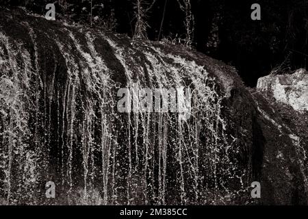 Eine Graustufenaufnahme eines kleinen Wasserfalls in einem Wald Stockfoto