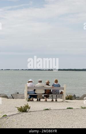 Vier Rentner, Freunde auf einer Bank am See Stockfoto