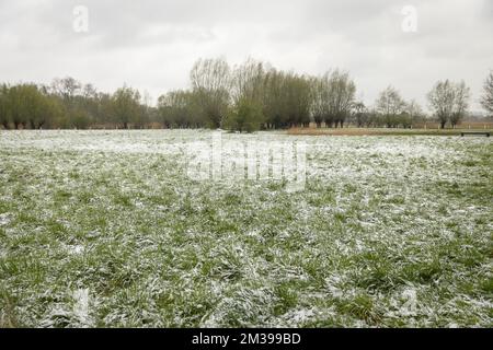 Abbildung zeigt den Schneefall im Naturschutzgebiet Bourgoyen in Gent, Belgien, Freitag, den 01. April 2022. Zuerst wird es im ganzen Land Schnee oder schmelzenden Schnee geben. Danach wird es aus dem Norden trockener, mit der Möglichkeit eines Winterschauers. Maximal -2 bis + 6 Grad und ein Wind, der gut spürbar ist. BELGA FOTO JAMES ARTHUR GEKIERE Stockfoto