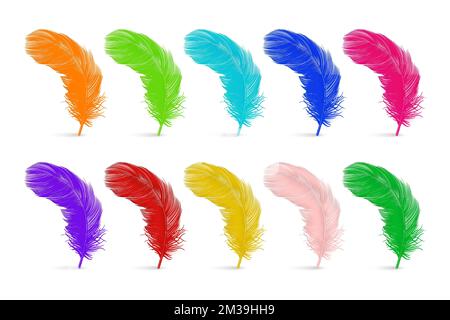 Vector 3D realistisches mehrfarbiges flauschiges Federset, isoliert auf weißem Hintergrund. Designvorlage für Flamingo, Angel, Vogelfedern Stock Vektor