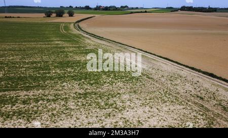 Drohnenbild aus der Luft zeigt droog veld Genappe, ein ausgetrocknetes Feld in der Region Genappe, da in Belgien am Sonntag, den 15. Mai 2022, nur sehr wenig Regen gefallen ist. BELGA FOTO NICOLAS MAETERLINCK Stockfoto