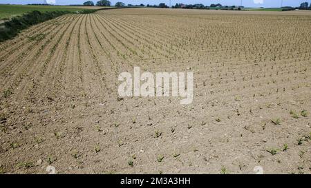 Drohnenbild aus der Luft zeigt droog veld Genappe, ein ausgetrocknetes Feld in der Region Genappe, da in Belgien am Sonntag, den 15. Mai 2022, nur sehr wenig Regen gefallen ist. BELGA FOTO NICOLAS MAETERLINCK Stockfoto
