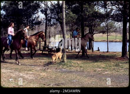 Reiter am Flussufer, Flüsse, Pferde, Reiten. Fotos von Ernst Halberstadt Stockfoto