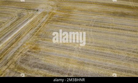 Das Drohnenbild zeigt ein ausgetrocknetes Feld in der Gegend von Lierde, Freitag, den 05. August 2022. Niedrige Niederschläge seit März und das extrem trockene Wetter im Juli führen zu einem kritisch niedrigen Grundwasserspiegel in Flandern. BELGA FOTO NICOLAS MAETERLINCK Stockfoto