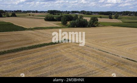 Das Drohnenbild zeigt ein ausgetrocknetes Feld in der Gegend von Lierde, Freitag, den 05. August 2022. Niedrige Niederschläge seit März und das extrem trockene Wetter im Juli führen zu einem kritisch niedrigen Grundwasserspiegel in Flandern. BELGA FOTO NICOLAS MAETERLINCK Stockfoto