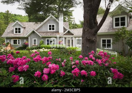 Neues Hampton Cottage-Haus mit landschaftlich gestaltetem Vorgarten im Sommer. Stockfoto