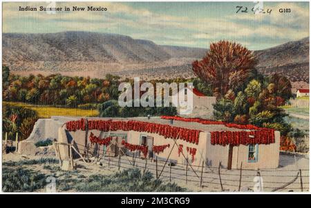Indischer Sommer in New Mexico, Häuser, Tichnor Brothers Collection, Postkarten der Vereinigten Staaten Stockfoto