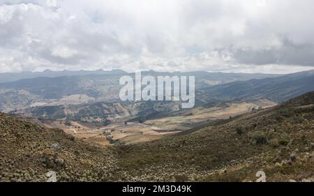 Der Esel läuft frei durch Los Hoyos an einem sonnigen Tag in der Tatacoa-Wüste in Huila, Kolumbien Stockfoto