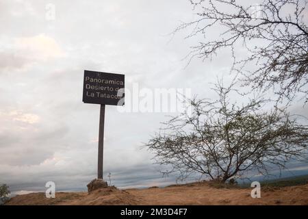 „Panoramica Desierto de la Tatacoa“ berühmtes Schild in der „el cusco“-Zone in der Nähe eines Laubbaums und eines kleinen Busches bei Sonnenaufgang, Huila, Kolumbien Stockfoto